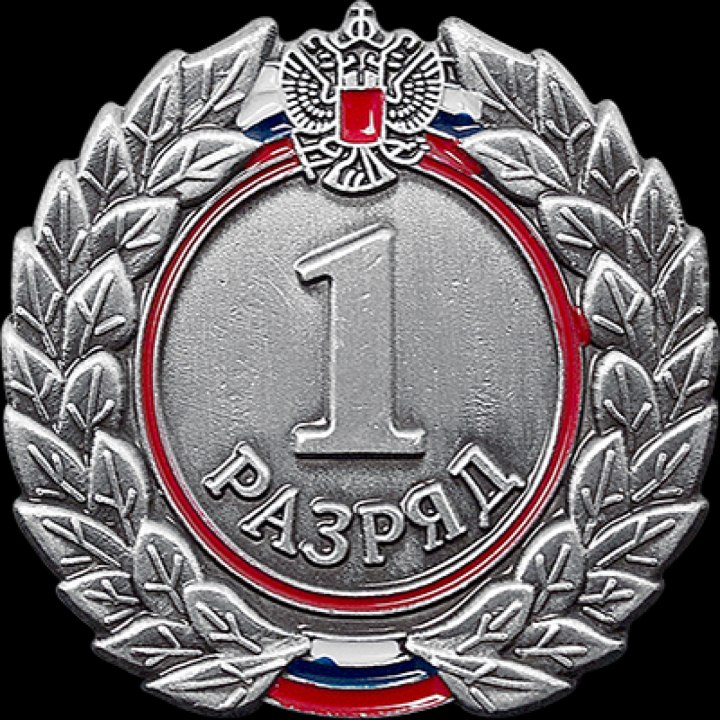 Первый спортивный разряд значок