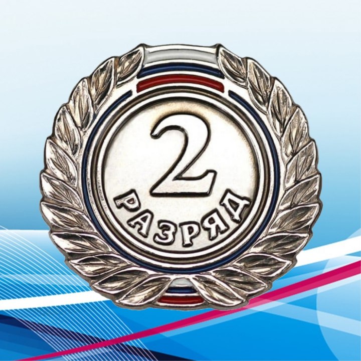 3 Спортивный разряд