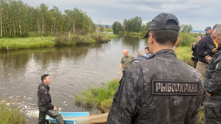 Искусственное воспроизводство водных биоресурсов