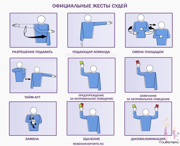 Судейство в волейболе жесты судей