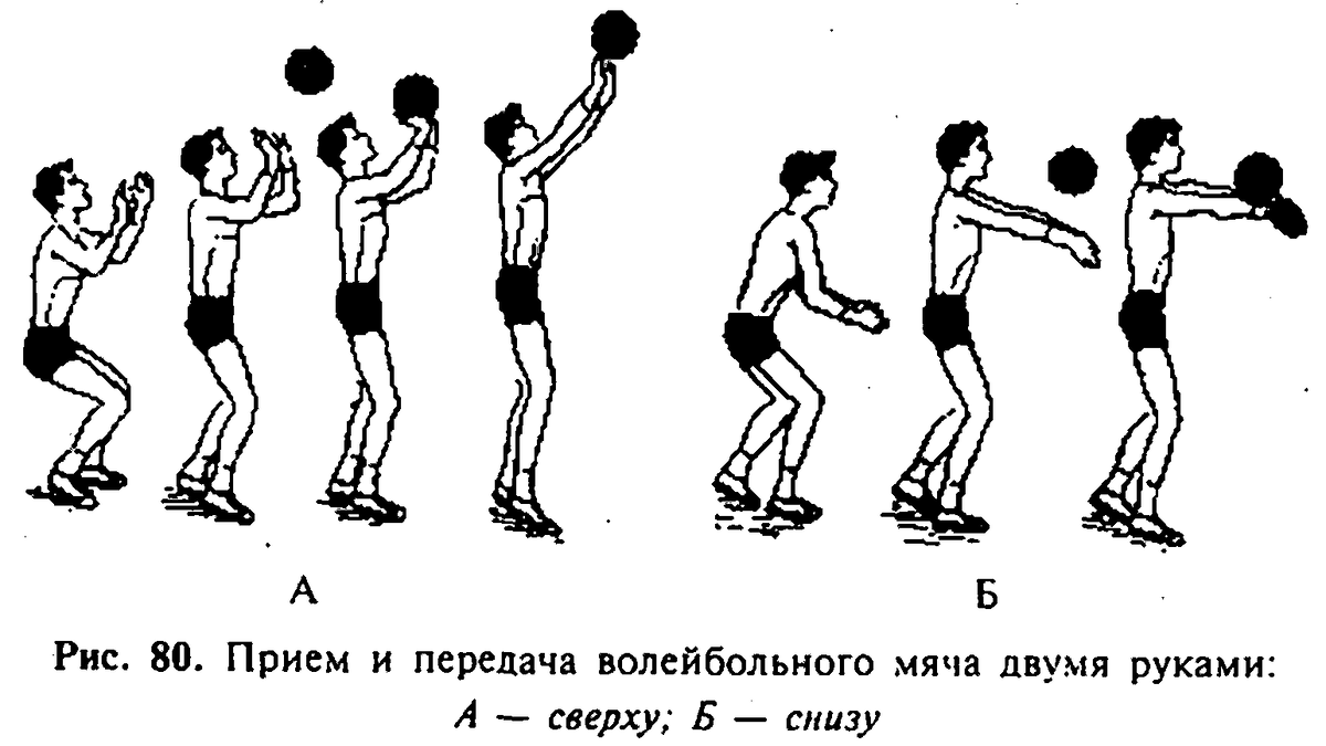 Верхний прием и передача мяча в волейболе (58 фото) - картинки photosota