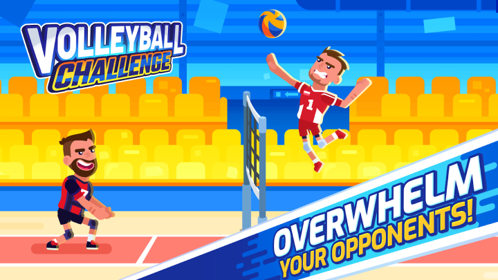 Volleyball Challenge