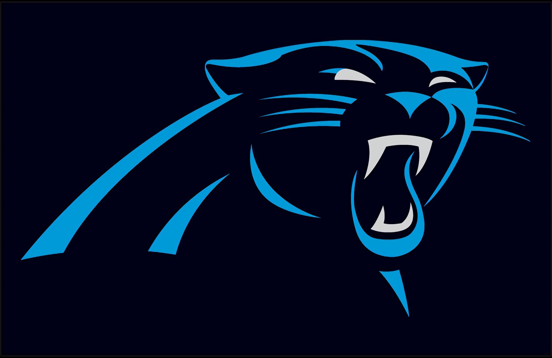 Shadow panthers